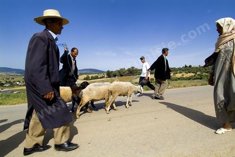 Chemin reliant le marché et la ville de Fernana, les jeunes offrent leurs aides pour transporter les courses et divers achats entre ces deux points distants.