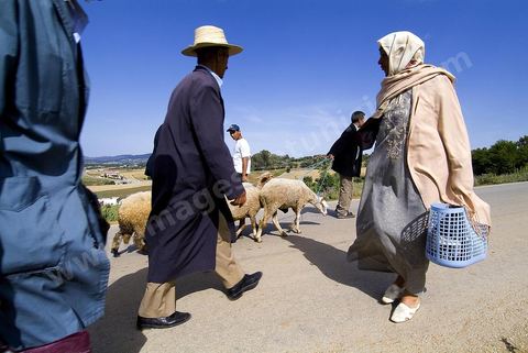 Chemin reliant le marché et la ville de Fernana, les jeunes offrent leurs aides pour transporter les courses et divers achats entre ces deux points distants.
