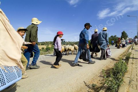 Chemin reliant le marché et la ville de Fernana, les jeunes offrent leurs aides pour transporter les courses et divers achats entre ces deux points distants.