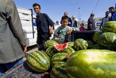 Pastèques et leurs vendeurs sur le marché hebdomadaire de Fernana