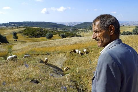 Homme gardant ses moutons dans la campgane près de Fernana berger et ses moutons