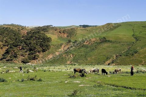Paysage près de la station thermale de Hammam Bourguiba