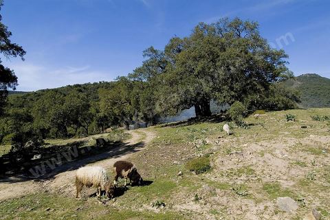 Paysage près de la station thermale de Hammam Bourguiba