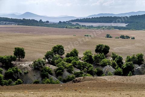 Hammam Mellègue se trouve à une quinzaine de km à l’Ouest du Kef. Les eaux thermales de Hammam Mellègue, étaient utilisées par les Romains comme en témoignent les vestiges des anciens thermes avec leurs bassins assez bien conservés et qui sont encore utilisés par les curistes. El Bekri, au XIème siècle, dans sa « Description de l’Afrique septentrionale » évoque l’Oued Mellègue comme une grande rivière « auprès de laquelle sont des ruines antiques ». Cette station thermale est presque intacte et elle a  été restaurée par les soins de l’INAA dans les années 1967/68/69.Les eaux thermales alimentent des bassins romains utilisés comme un Hammam traditionnel. Ce hammam est très fréquenté. En dehors des indications thérapeutiques classiques des eaux chaudes chlorurées sodiques, c’est à dire celles en pathologie ostéo-articulaire, une indication serait à envisager, vu l’hypertonicité de l’eau, celle du traitement de l’obésité.