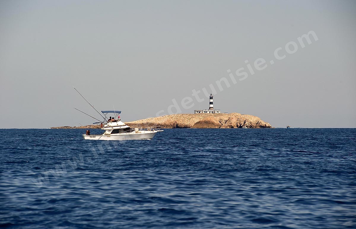 Les îles Cani