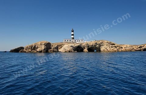 La grande et la petite Cani, deux îlots assez plats, sont situées à cinq milles au nord du Cap Zebib et de Bizerte. La Grande ile est surmontée d'un très beau phare de 18 mètres de haut construit vers 1860 et sera le deuxième phare de Tunisie après celui de Sidi Bou Saïd. Aujourd'hui c'est un haut lieu d'excursion pour les plaisanciers et les plongeurs qui viennent découvrir un relief et une nature sous-marines eriches et à faible profondeur ainsi que les petites grottes que constituent l'île.