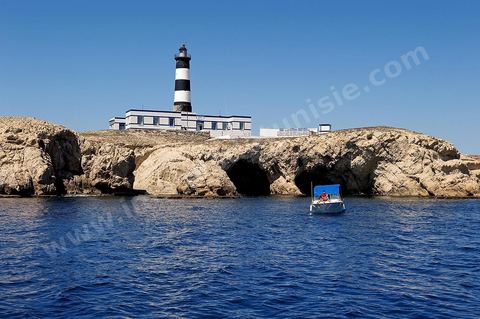 La grande et la petite Cani, deux îlots assez plats, sont situées à cinq milles au nord du Cap Zebib et de Bizerte. La Grande ile est surmontée d'un très beau phare de 18 mètres de haut construit vers 1860 et sera le deuxième phare de Tunisie après celui de Sidi Bou Saïd. Aujourd'hui c'est un haut lieu d'excursion pour les plaisanciers et les plongeurs qui viennent découvrir un relief et une nature sous-marines eriches et à faible profondeur ainsi que les petites grottes que constituent l'île.