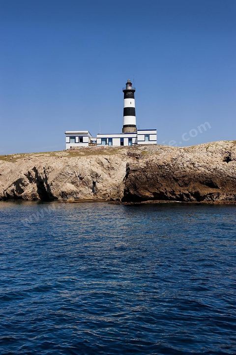 La grande et la petite Cani, deux îlots assez plats, sont situées à cinq milles au nord du Cap Zebib et de Bizerte. La Grande ile est surmontée d'un très beau phare de 18 mètres de haut construit vers 1860 et sera le deuxième phare de Tunisie après celui de Sidi Bou Saïd. Aujourd'hui c'est un haut lieu d'excursion pour les plaisanciers et les plongeurs qui viennent découvrir un relief et une nature sous-marines eriches et à faible profondeur ainsi que les petites grottes que constituent l'île.