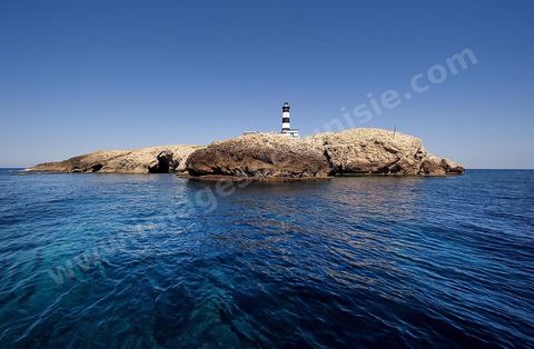 La grande et la petite Cani, deux îlots assez plats, sont situées à cinq milles au nord du Cap Zebib et de Bizerte. La Grande ile est surmontée d'un très beau phare de 18 mètres de haut construit vers 1860 et sera le deuxième phare de Tunisie après celui de Sidi Bou Saïd. Aujourd'hui c'est un haut lieu d'excursion pour les plaisanciers et les plongeurs qui viennent découvrir un relief et une nature sous-marines eriches et à faible profondeur ainsi que les petites grottes que constituent l'île.