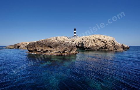 La grande et la petite Cani, deux îlots assez plats, sont situées à cinq milles au nord du Cap Zebib et de Bizerte. La Grande ile est surmontée d'un très beau phare de 18 mètres de haut construit vers 1860 et sera le deuxième phare de Tunisie après celui de Sidi Bou Saïd. Aujourd'hui c'est un haut lieu d'excursion pour les plaisanciers et les plongeurs qui viennent découvrir un relief et une nature sous-marines eriches et à faible profondeur ainsi que les petites grottes que constituent l'île.