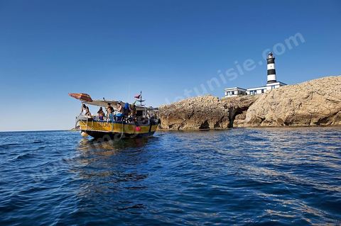 La grande et la petite Cani, deux îlots assez plats, sont situées à cinq milles au nord du Cap Zebib et de Bizerte. La Grande ile est surmontée d'un très beau phare de 18 mètres de haut construit vers 1860 et sera le deuxième phare de Tunisie après celui de Sidi Bou Saïd. Aujourd'hui c'est un haut lieu d'excursion pour les plaisanciers et les plongeurs qui viennent découvrir un relief et une nature sous-marines eriches et à faible profondeur ainsi que les petites grottes que constituent l'île.