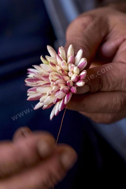 Homme préparant le Machmoum avec fleurs de Jasmin. Ras Jebel est fondée par les Romains entre le IIIe et le IVe siècle. Vers la deuxième moitié du XIVe siècle, les Andalous expulsés d'Espagne se seraient installés sur le site après avoir bénéficié de concessions agricoles. 