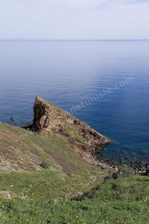 Le fort Genois et la presqu'ile de Tabarka