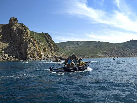 barque de pêcheurs au pied des falaises de Tabarka, sortie en mer à Tabarka