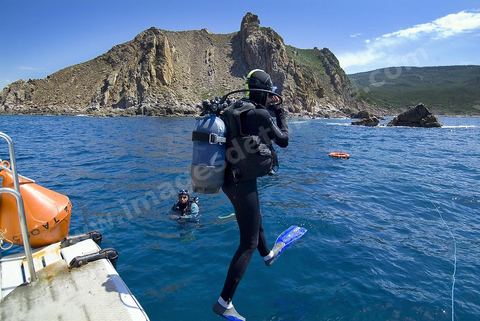 Sortie en mer pour une initiation de plongée sous marine, plongeur sous larin au pied des falaises de Tabarka