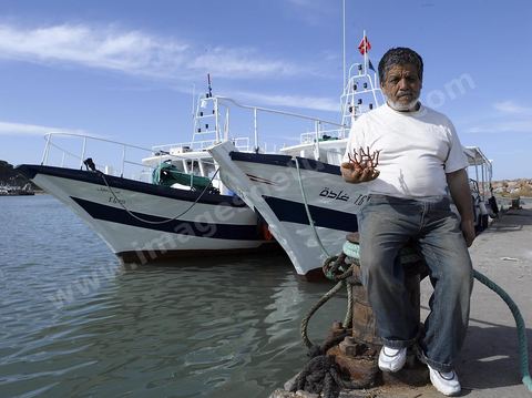 Corailleur dans le port de Tabarka ces hommes plongent à 120 m sous la mer pour récolter du corail naturel