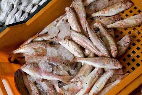Poissonnier et poisson dans les rues de Tabarka