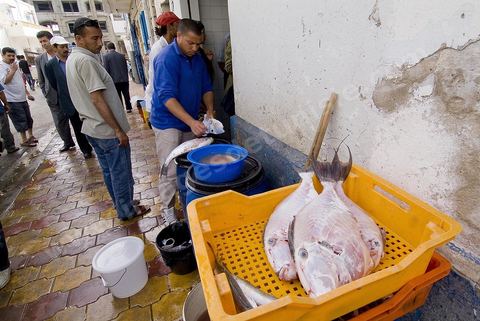 Poissonnier et poisson dans les rues de Tabarka