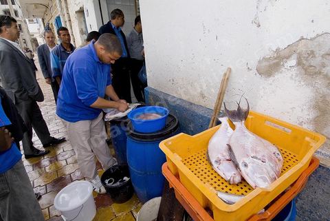 Poissonnier et poisson dans les rues de Tabarka