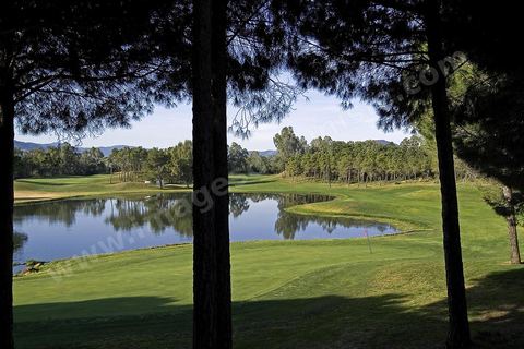 Golf de Tabarka