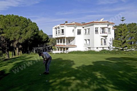 Golf de Tabarka