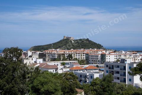 A panoramic view of Tabarka and the Genoese fort, nestled between the sea and the mountains.
