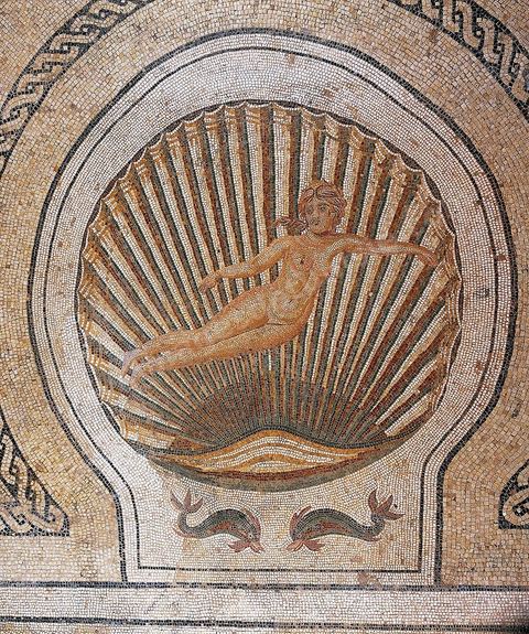 Mosaïque de Vénus sortant d'un coquillage, milieu du IIème siècle après JC. Le musée archéologique de El Djem, cité antique de Thysdrus, a été aménagé à l’emplacement d’une villa romaine dont il restitue l’organisation spatiale : une cour centrale entourée d’un péristyle – préau – qui donne accès aux chambres. Là, sont exposés des objets – sculptures, tableaux en mosaïque, céramique, etc. – provenant de campagnes de fouilles menées à Thysdrus aussi bien que dans les environs de la cité.