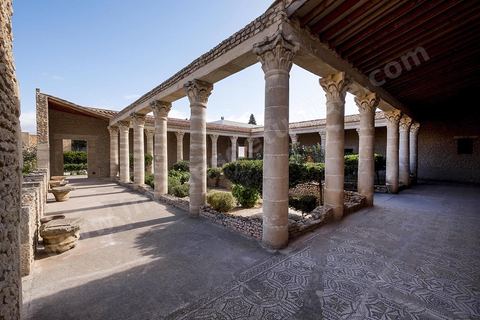 Au coeur du musée archéologique de El Djem, cité antique de Thysdrus, il a été procédé à la reconstitution, grandeur nature, de « la maison d’Africa », une somptueuse demeure aristocratique édifiée vers les années 170 ap. J.C. découverte fortuitement dans les années 1990 et qui tire son appellation de deux tableaux en mosaïque figurant, dans leur médaillon central, l’un la déesse Africa, l’autre la province d’Afrique, seules représentations connues du continent africain. 
