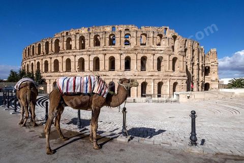 Amphithéâtre romain de El Djem. C’est le monument romain d’Afrique du Nord, de loin le plus imposant, sa silhouette ronde et massive s’élève dans une plaine plate et désertique qui le laisse voir à très longue distance. De forme presque elliptique, le monument mesure 149 m de long sur 124 m de large et 36m de haut. Les gradins, aujourd’hui disparus et partiellement reconstitués, pouvaient accueillir jusqu’à 30.000 spectateurs
