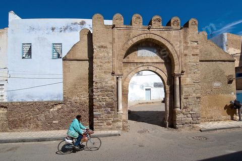 Gate and rampart of the medina of Kairouan