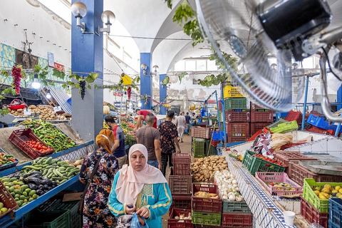 Le marché central. La presqu'île de Mahdia est le coeur historique de la ville, avec la medina et à sa pointe le cimetière marin et le borj. La partie résidentielle, appellée Borj Erras, est un mélange de palais et de maisaons traditionnelle de pêcheurs. 