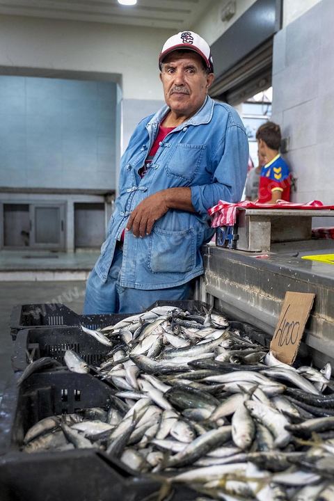 Le marché central. La presqu'île de Mahdia est le coeur historique de la ville, avec la medina et à sa pointe le cimetière marin et le borj. La partie résidentielle, appellée Borj Erras, est un mélange de palais et de maisaons traditionnelle de pêcheurs. 