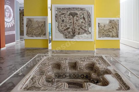 Salles des mosaiques du musée archéologique de Sousse dans la Kasbah située en haut de la medina de Sousse