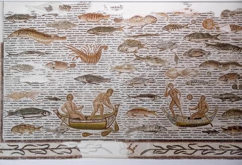 mosaique scènes de pêche et poissons et crustacés -musée archéologique de Sousse dans la Kasbah située en haut de la medina de Sousse