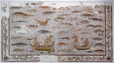 mosaique scènes de pêche et poissons et crustacés -musée archéologique de Sousse dans la Kasbah située en haut de la medina de Sousse