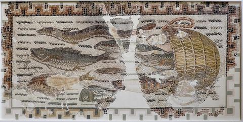 Mosaique Panier de poissons - musée archéologique de Sousse dans la Kasbah située en haut de la medina de Sousse