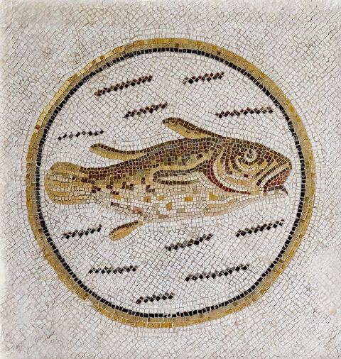 Mosaique d'un poisson nageant dans une mer - musée archéologique de Sousse dans la Kasbah située en haut de la medina de Sousse