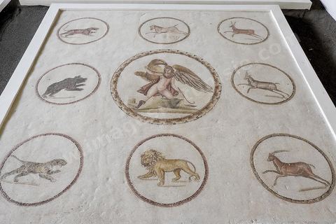 mosaique de l'enlevement de Ganymède entouré de 9 médaillons d'animaux en mouvement : tigresse, cheval, antilope, ours, panthère, lion, ... musée archéologique de Sousse dans la Kasbah située en haut de la medina de Sousse