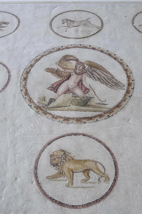 mosaique de l'enlevement de Ganymède entouré de 9 médaillons d'animaux en mouvement : tigresse, cheval, antilope, ours, panthère, lion, ... musée archéologique de Sousse dans la Kasbah située en haut de la medina de Sousse