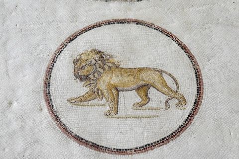 mosaique de l'enlevement de Ganymède entouré de 9 médaillons d'animaux en mouvement : tigresse, cheval, antilope, ours, panthère, lion, ... musée archéologique de Sousse dans la Kasbah située en haut de la medina de Sousse