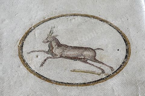 mosaique de l'enlevement de Ganymède entouré de 9 médaillons d'animaux en mouvement : tigresse, cheval, antilope, ours, panthère, lion, ... musée archéologique de Sousse dans la Kasbah située en haut de la medina de Sousse