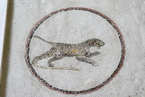 mosaique de l'enlevement de Ganymède entouré de 9 médaillons d'animaux en mouvement : tigresse, cheval, antilope, ours, panthère, lion, ... musée archéologique de Sousse dans la Kasbah située en haut de la medina de Sousse