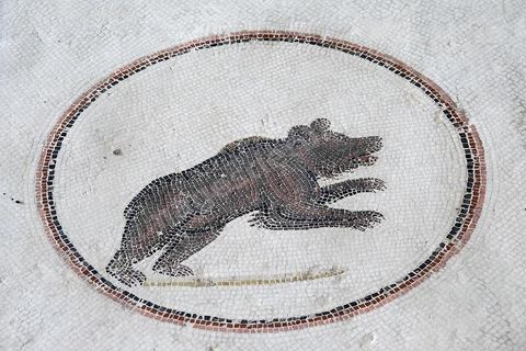 mosaique de l'enlevement de Ganymède entouré de 9 médaillons d'animaux en mouvement : tigresse, cheval, antilope, ours, panthère, lion, ... musée archéologique de Sousse dans la Kasbah située en haut de la medina de Sousse