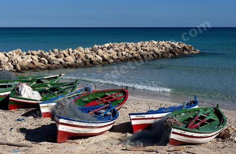 plage et cote rocheuse de Salakta