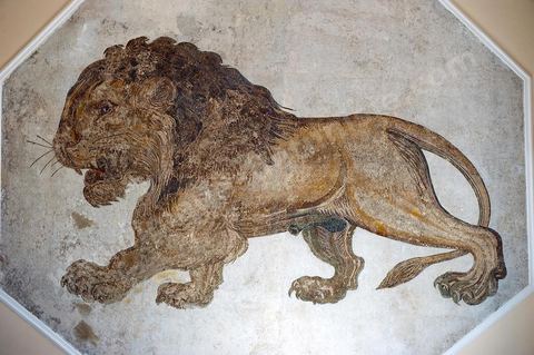 Musée archéologique de Salakta avec la fameuse mosaïque du Lion