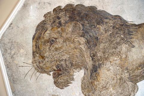 Musée archéologique de Salakta avec la fameuse mosaïque du Lion