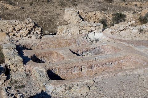 Site archéologique de Salakta : le garum