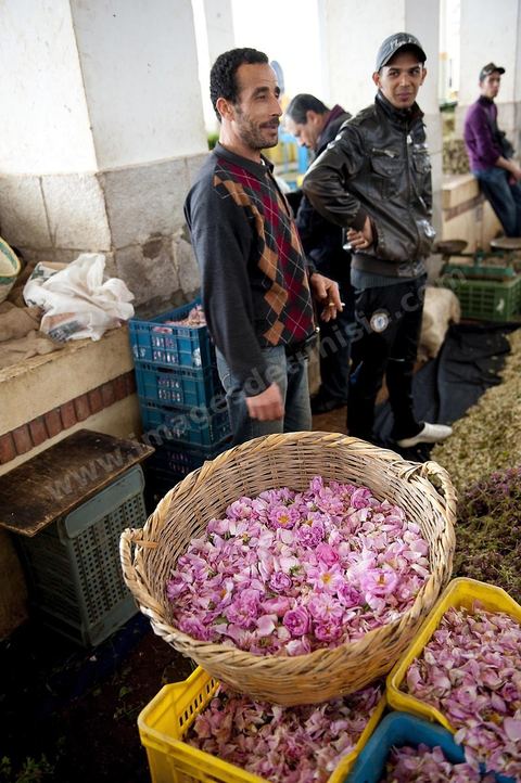 Le marché central de Tunis, marché aux légumes, poissons, fromages, boucheries et épiceries fines