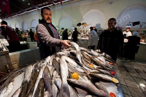 Le marché central de Tunis, marché aux légumes, poissons, fromages, boucheries et épiceries fines