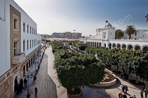 Place du Gouvernement et Palais du Premier Ministère, en haut de la medina de Tunis